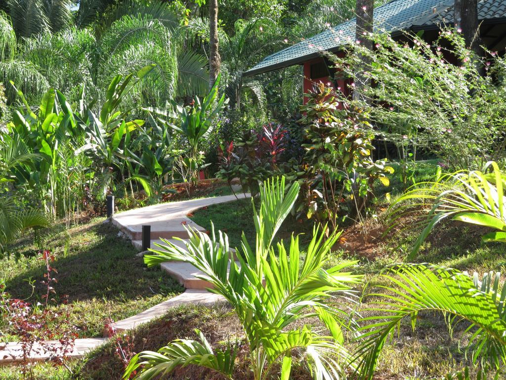 Oasis De Las Palmas オホチャル エクステリア 写真